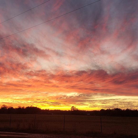 Meet your Posher, Karen - Picture 2 of 2